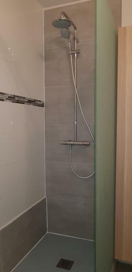 Appartement Hyper Centre 10 Pers Colmar